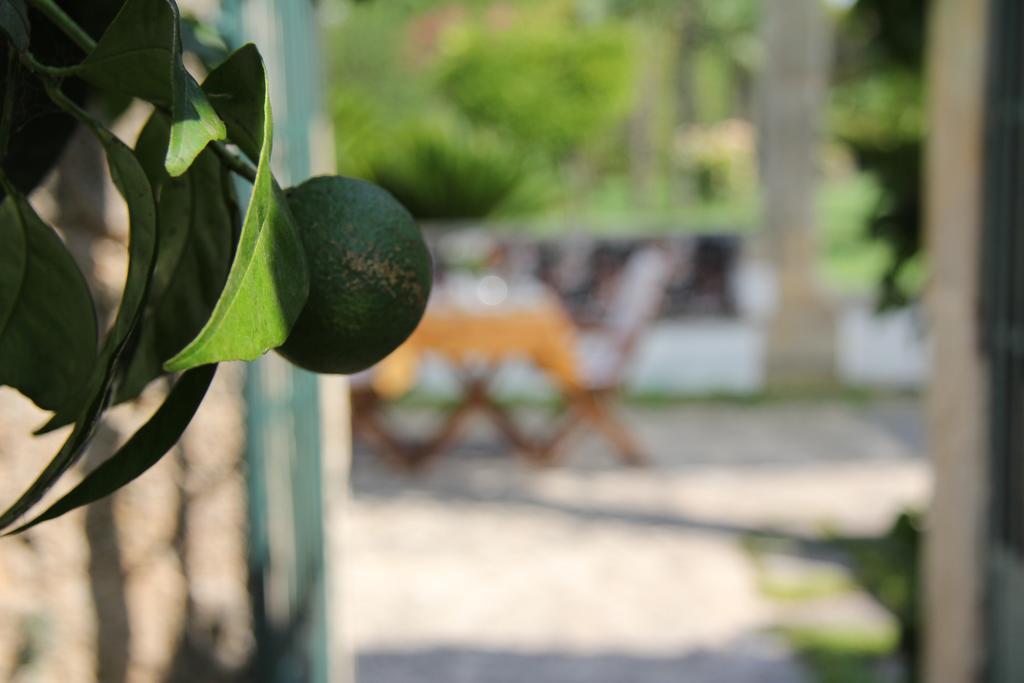 Bed and Breakfast Parco Degli Aranci Cutrofiano Esterno foto